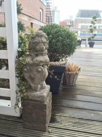 Roofterrace Apartment 阿尔克马尔 外观 照片